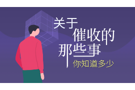 新城区为什么选择专业追讨公司来处理您的债务纠纷？